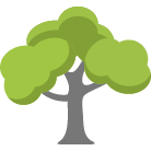 Tomball Tree Trimming